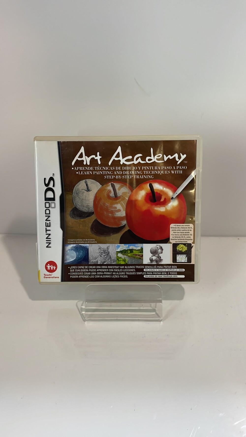 DS Art academy
