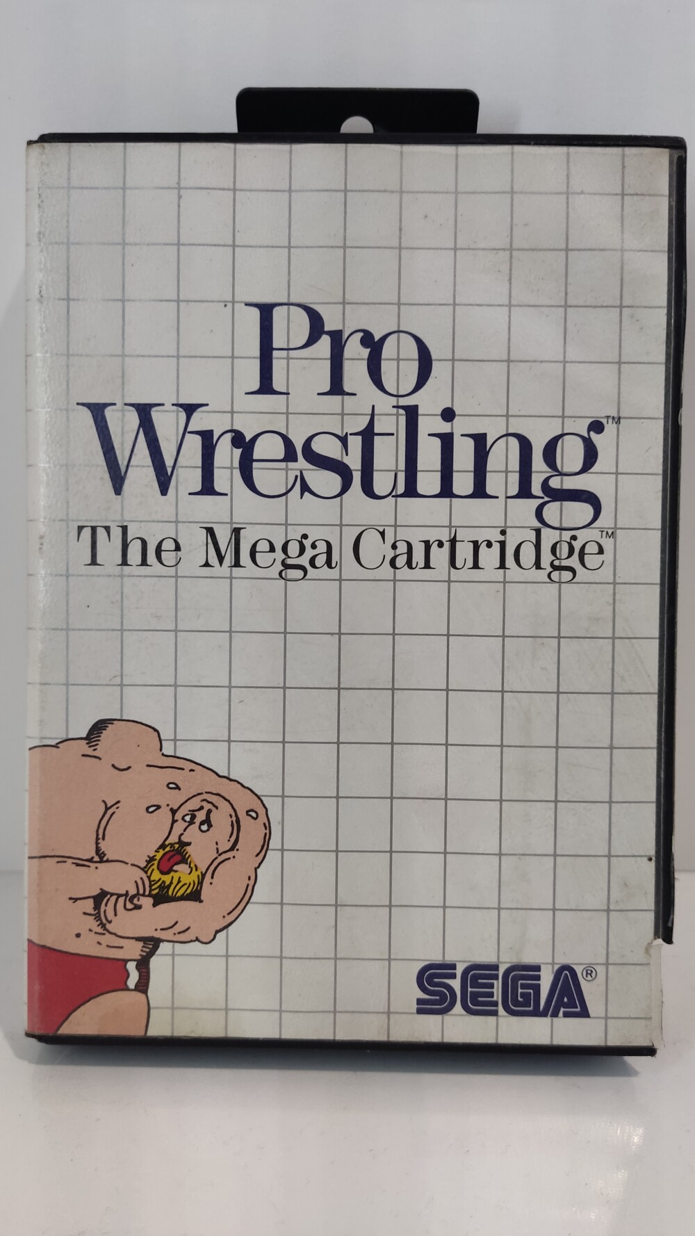 Mastersystem Pro Wrestling
