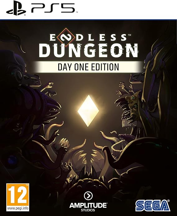 PS5 ENDLESS DUNGEON