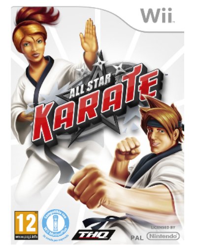 WII ALL STAR KARATE