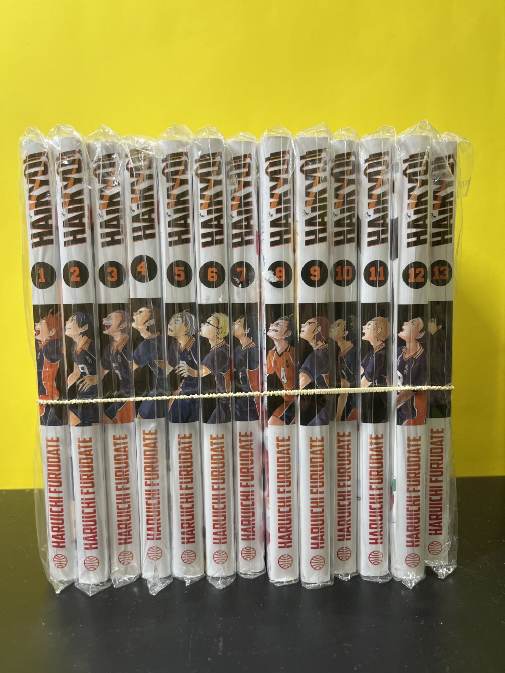 MANGA HAIKYUU 1-13